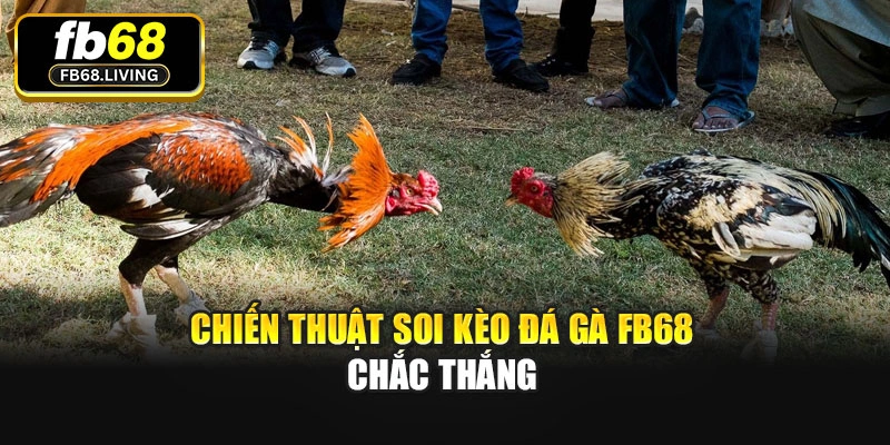 Chiến thuật soi kèo Đá gà FB68 chắc thắng